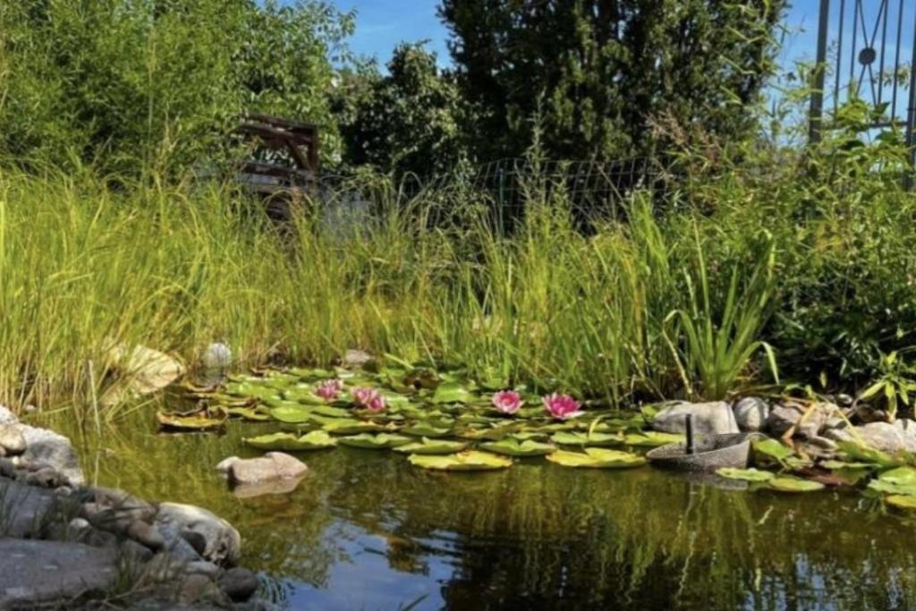 Modernes Ferienhaus Sauerblick Langsur Bagian luar foto